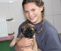 Janou met puppy