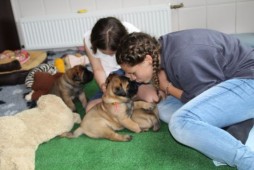 lieke en Janou met de puppy's ...♥